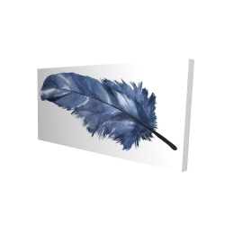 Plume bleue