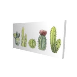 Tiny cactus set