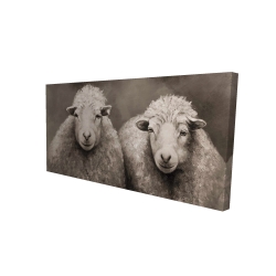 Sheep sepia