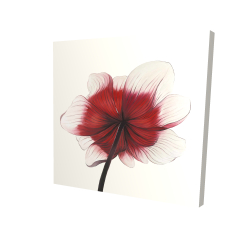 Fleur anémone rouge