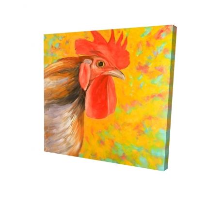 Colorful rooster