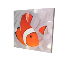 Clownfish under the sea