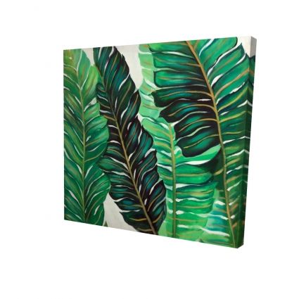 Feuilles de plantes exotiques