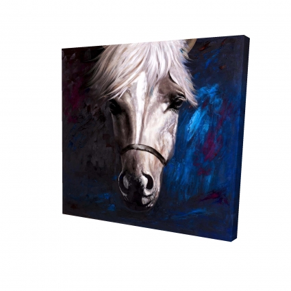 White horse on blue background