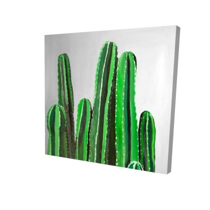 Cactus cierges