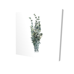 Thyme leaves bundle