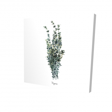 Thyme leaves bundle - en