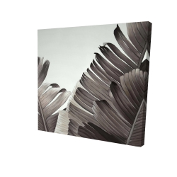 Feuilles tropicales en tons de gris