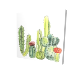 Petits cactus