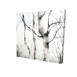 Three birches trees