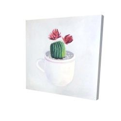 Mini cactus dans une tasse