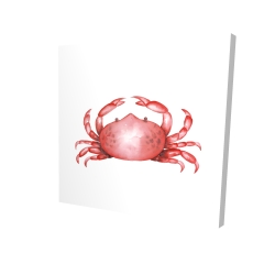 Crab