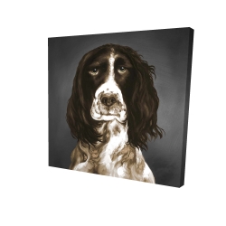 Brown english springer spaniel