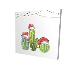 Cactus de noël