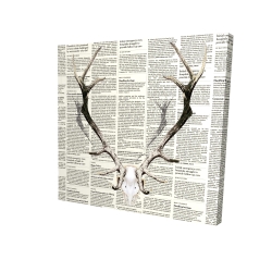 Bois de cerf sur papier journal