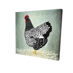 Wyandotte  hen