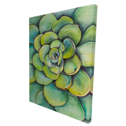 Watercolor succulent plant