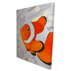 Clownfish