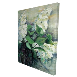 White lilacs