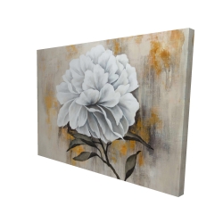 Pivoine blanche