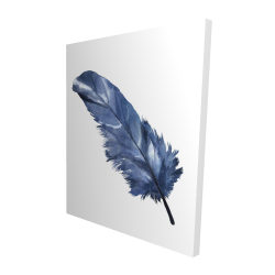 Plume bleue