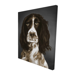 Brown english springer spaniel