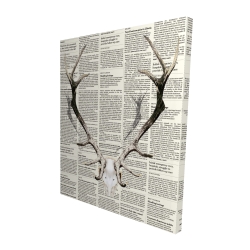 Bois de cerf sur papier journal