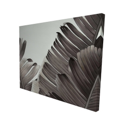 Feuilles tropicales en tons de gris