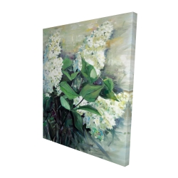 White lilacs