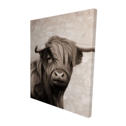 Highland cattle sepia