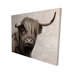 Highland cattle sepia