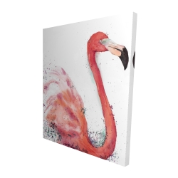 Flamant rose éclaboussant