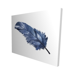 Plume bleue