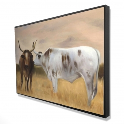 Nguni herd