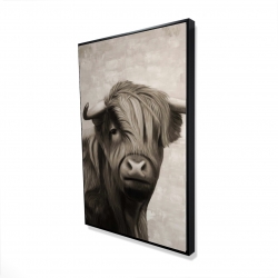 Highland cattle sepia