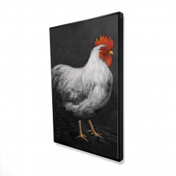 Grey rooster 2