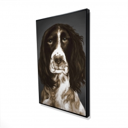 Brown english springer spaniel