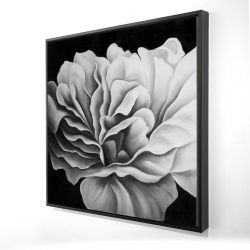 Beautiful black and white flower