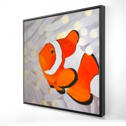 Clownfish