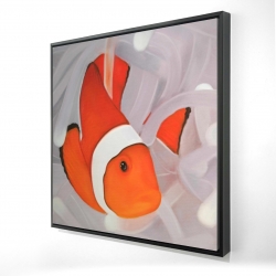 Clownfish under the sea