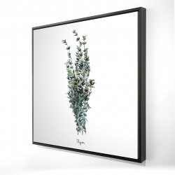 Thyme leaves bundle - fr