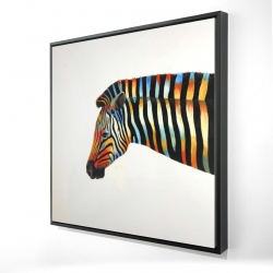 Colorful zebra