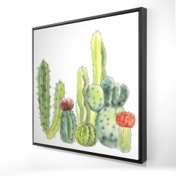 Petits cactus