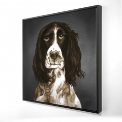 Brown english springer spaniel