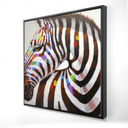 Colorful zebra