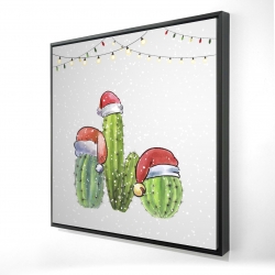 Cactus de noël