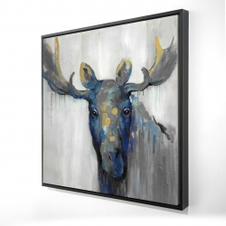 Blue moose