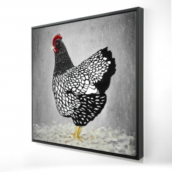 Black and white wyandotte hen