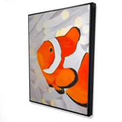 Clownfish