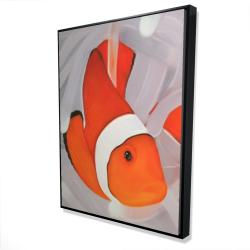 Clownfish under the sea